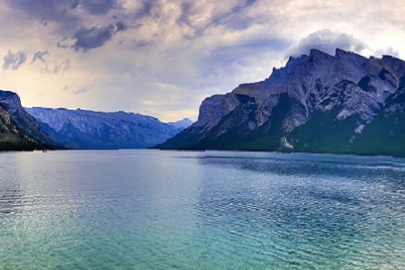 2020��� �����Q(m��o)��˾���Q��ȫ��