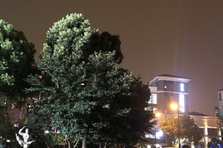 �خa(ch��n)�н����(w��)��˾���Q