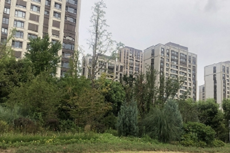 �������нo��˾������ȫ