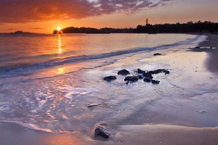 ������˾ȡ���ִ�ȫ