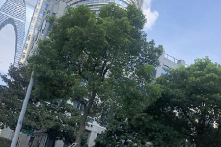 建筑工程公司取名字參考