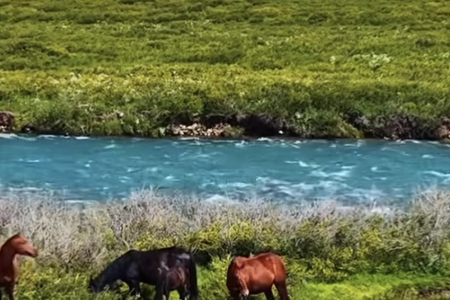 裝飾公司取名軟件