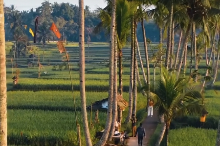 �W����˾���ִ�ȫ