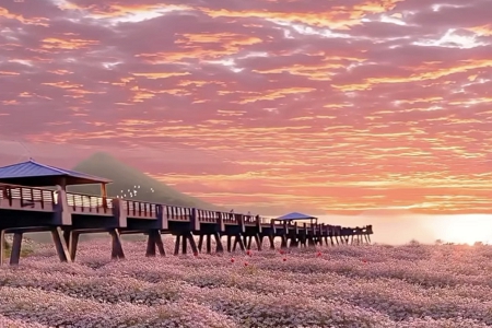 監控公司的起名