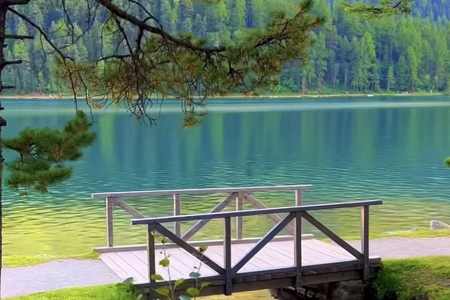 ��ˇ��˾���ִ�ȫ