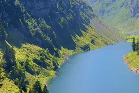 ��˾�������]