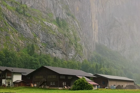 ���M���I��˾ȡ��