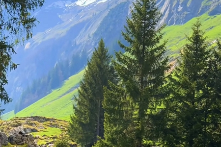 �\(y��n)ݔ��˾ȡʲô���ֺ�