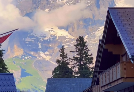 2025��˾������ȫ