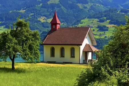 �ڄ�(w��)��˾����