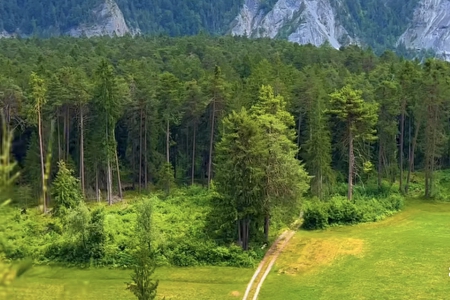 �������U��˾����