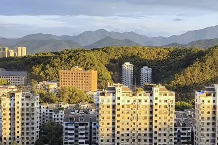 �����ֵĽ�����˾����