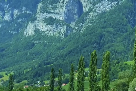 �����ҙC��˾������ȫ