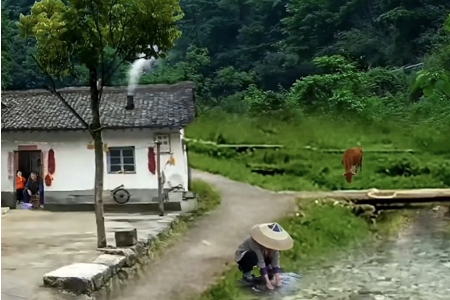 ȡ����˾���־W