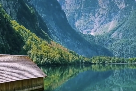 ���� ʳƷ��˾����