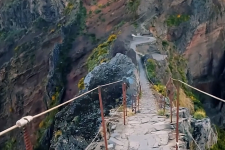 �T����˾������ȫ�б�