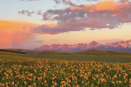 ��I��˾��ʲô���ֺ�