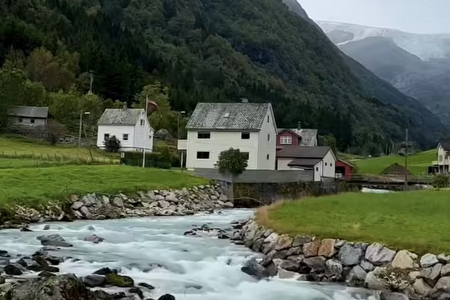 帶木的好聽的公司名字