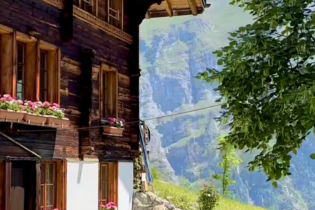 ����������b�޹�˾����