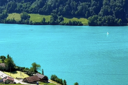 �Ƽ���˾����