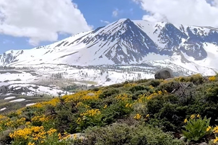 ע�Թ�˾�x����