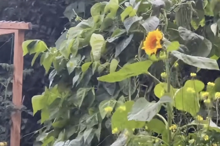 �W(w��ng)�Ϲ�˾������ȫ