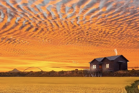 ���_��˾����