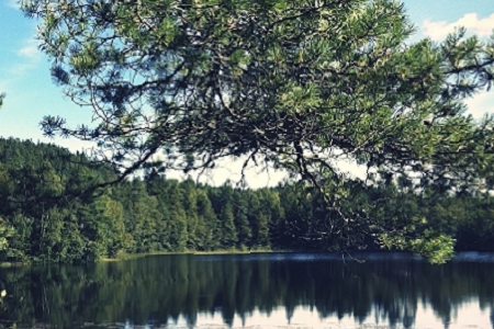 �ӵؚ��ֲ��׵����