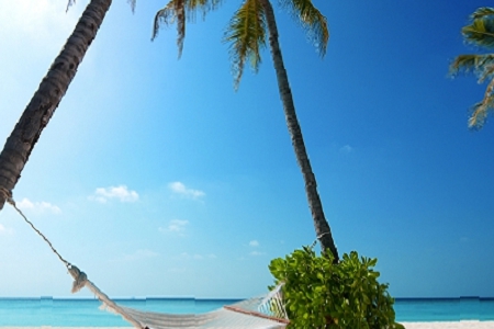 ���˾������ȫ