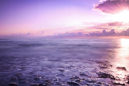 ��Ԣ��Ĺ��@���ִ�ȫ