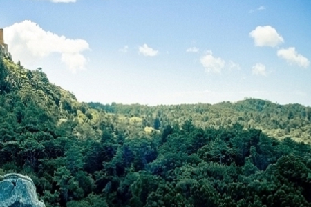 Ԣ��õĻ��yƷ��˾����