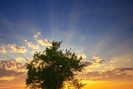 ��ע����X��˾���Q��ȫ