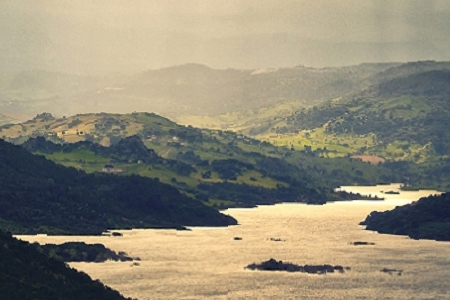 �r(sh��)���³�������˾����