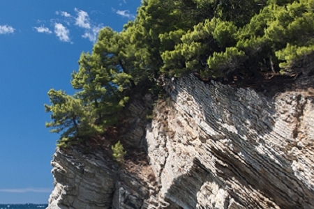 ���ر���˾ȡ����ȫ