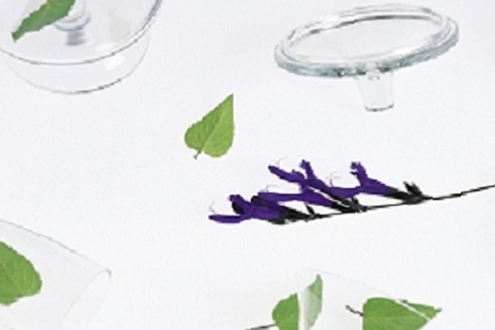 ������Ʒ��˾���ִ�ȫ