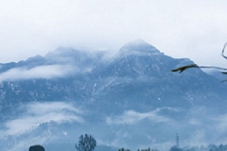 ܛ���_�l(f��)��˾������ȫ