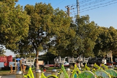 比較國際化的公司名字