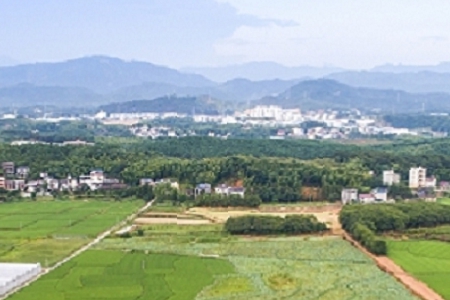 �o��˾��һ��(g��)��������