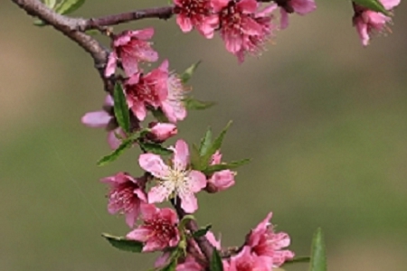 �w�F(xi��n)���ܻ��Ĺ�˾���Q