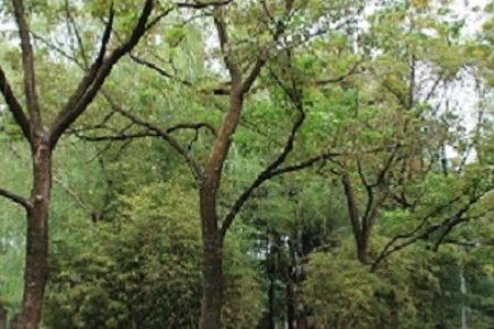 ��νo��I(y��)��˾����