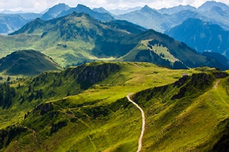 �������ע�Թ�˾���Q��ȫ