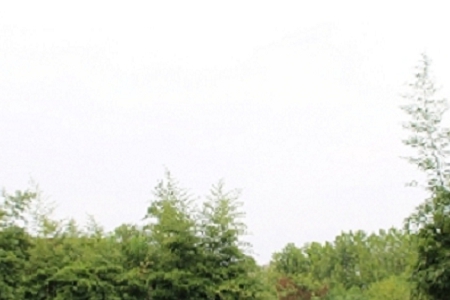 ���δ�⽨����˾����