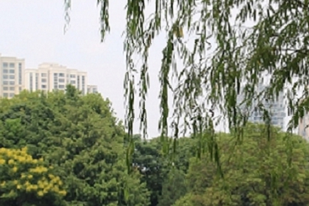 �b�����ʲô���ֺ�