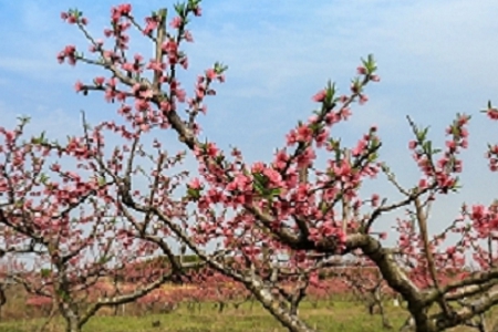 �Є�������u��˾����