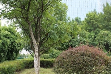 �����͹�˾������ȫ