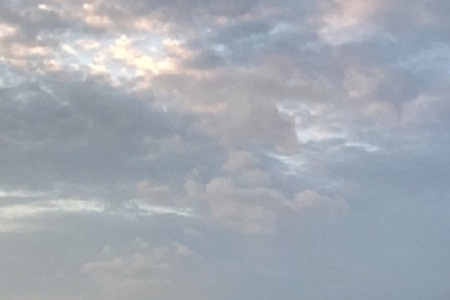 �O�I(y��)��˾ȡ���ִ�ȫ