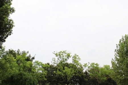 2021�������˾ȡ���ִ�ȫ