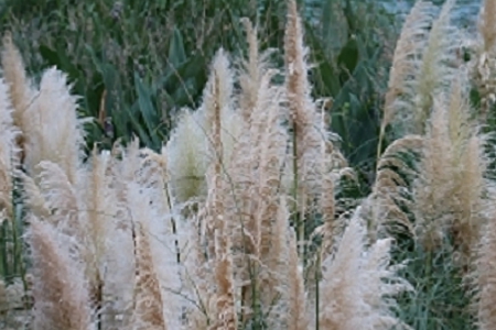 �ЃȺ��Ĺ�ˇƷ��˾����