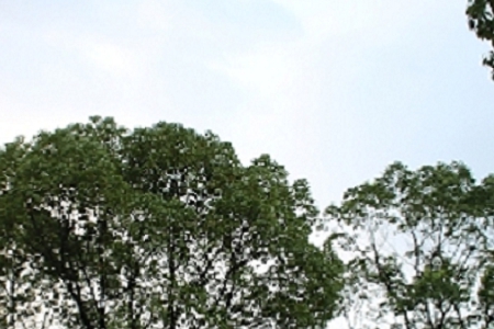 �_���ȡʲô����