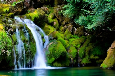 ������Ȥ�Ĺ�˾���Q